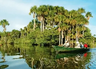 Discover Tambopata Jungle 3D2N Tour